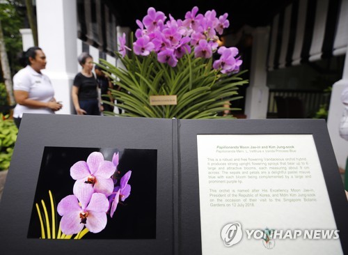 싱가포르에 '문재인·김정숙 蘭' 생겼다…한국대통령 처음(종합) - 5