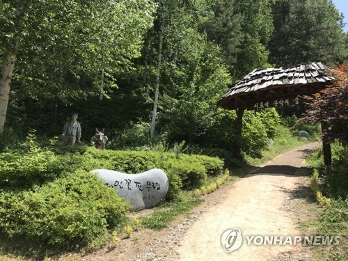 평창 '이효석 문학의 숲'