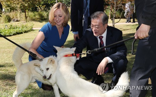 BBC 인터뷰 도중, 북에서 선물받은 풍산개 소개하는 문 대통령