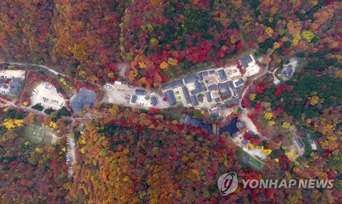 백양사의 늦가을
