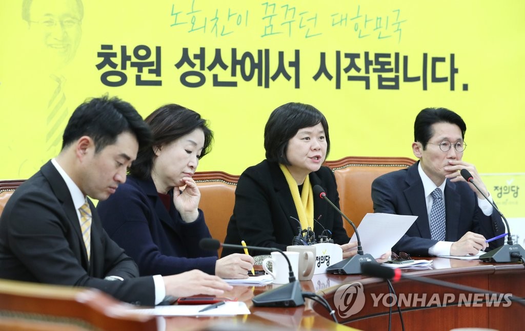 의원총회에서 발언하는 이정미