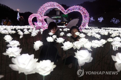 보성 차밭 밝힌 LED꽃