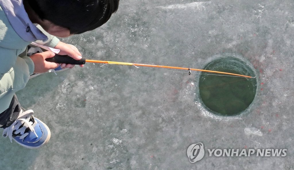 산천어와 '밀당'