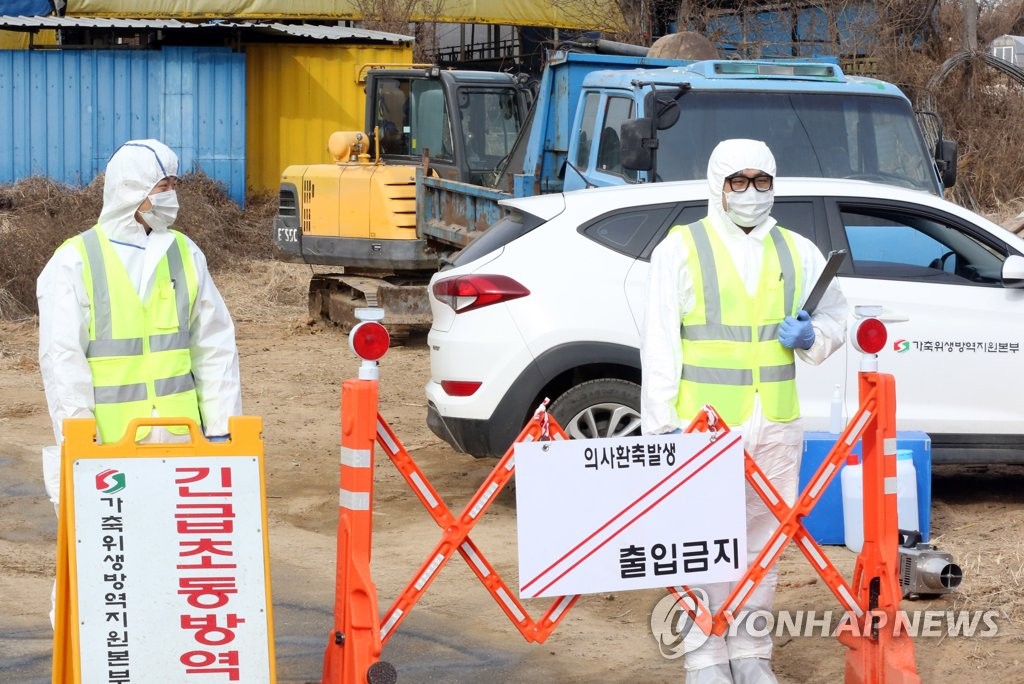 '구제역 확산' 막아라