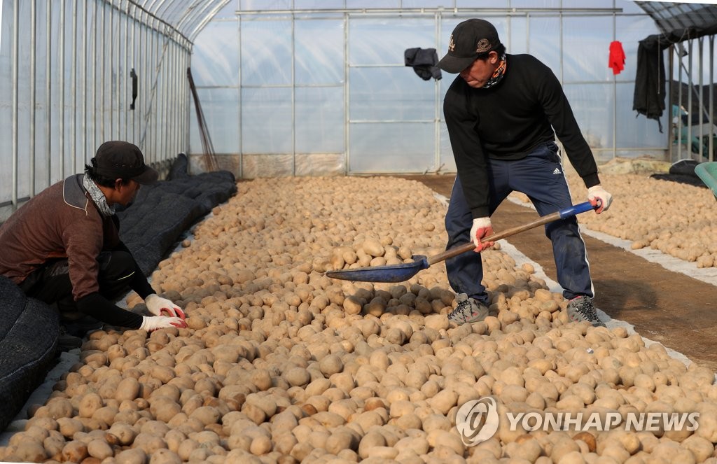 봄 농사 준비하는 농민들