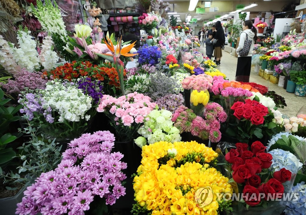 봄이 왔어요