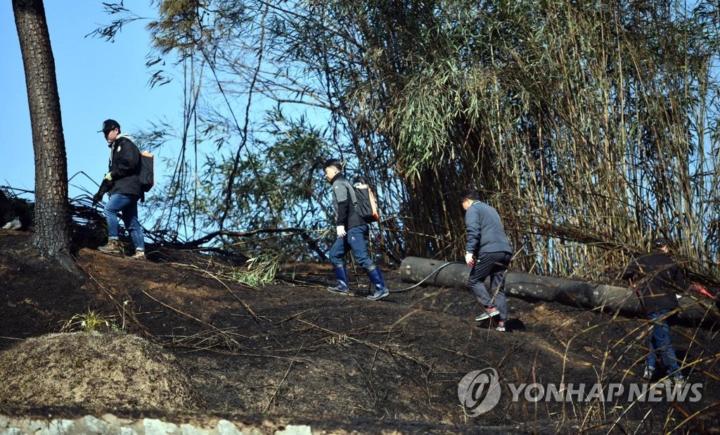 속초 도문동 야산 산불 진화