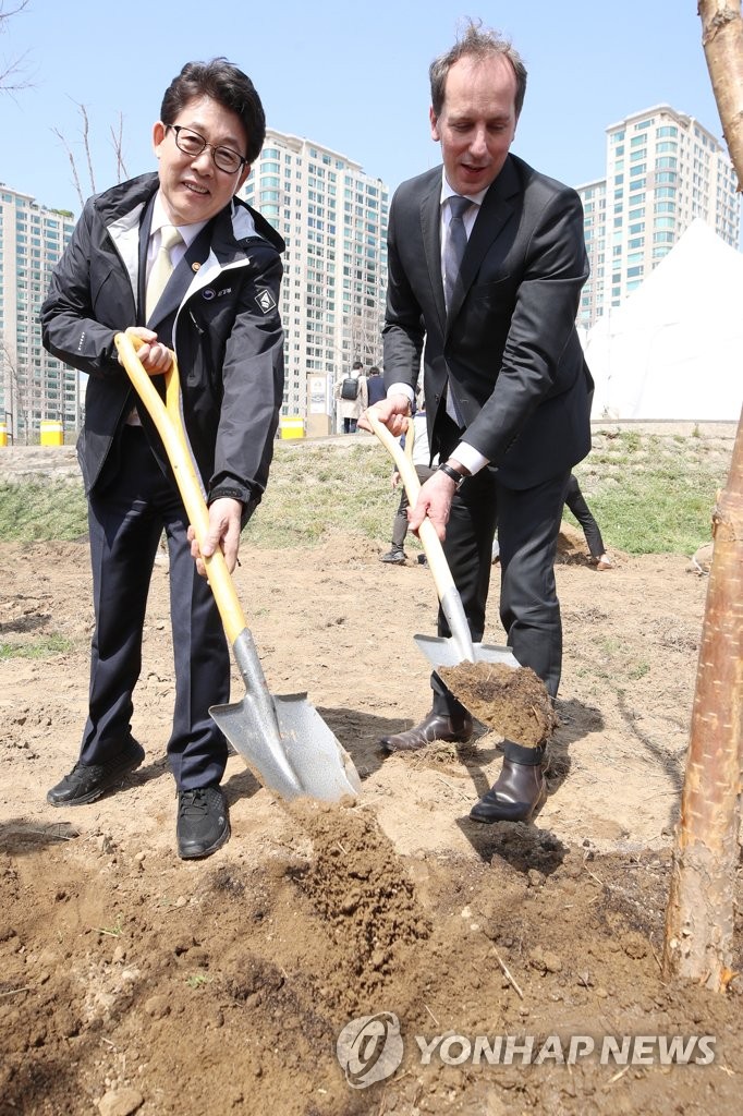 Tree planting Tree planting