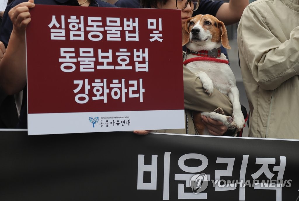 '동물복제 연구하지 말아 주세요!'