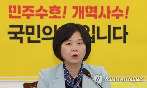 발언하는 이정미