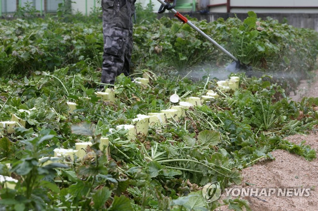 "내다 파느니 버리고 말지…"