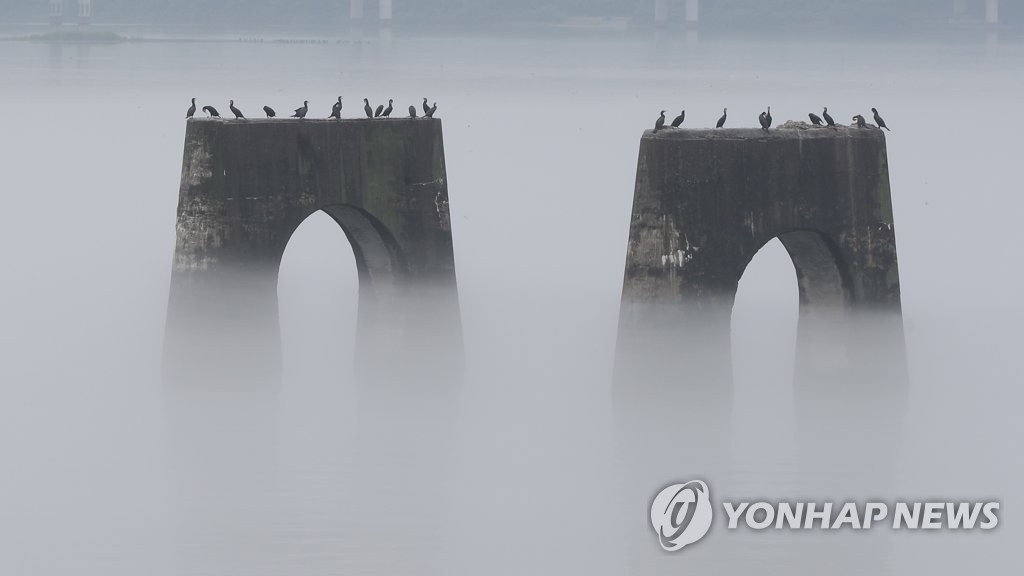 안개