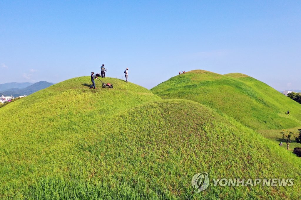 추석 앞두고 경주 대릉원 벌초