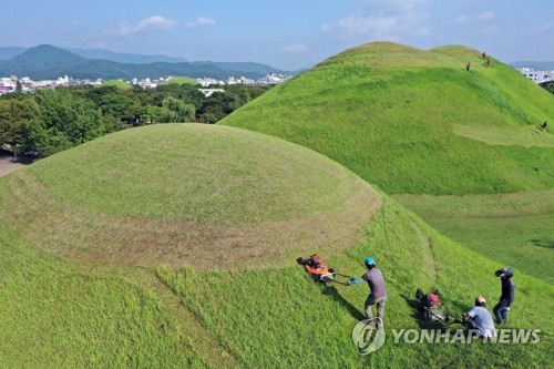 추석 벌초 시작한 경주 대릉원