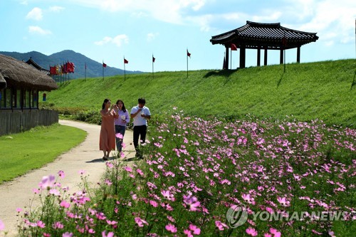 "서산 해미읍성으로 코스모스 구경 오세요"