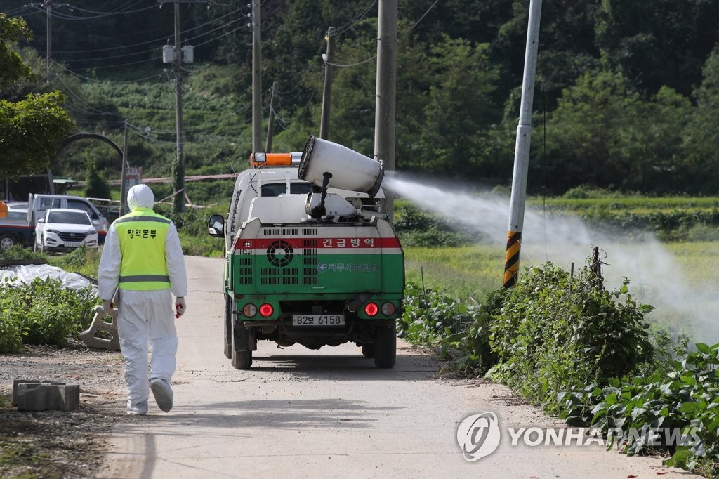 국내 첫 아프리카돼지열병 발생