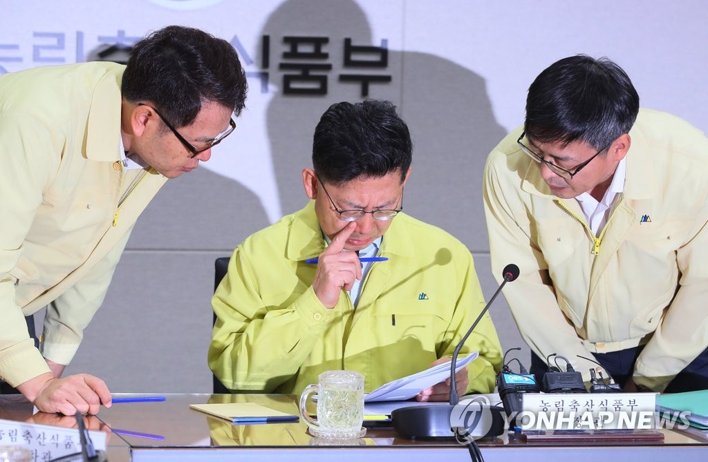 '김포 의심축·태풍'에 ASF 방역 또 비상