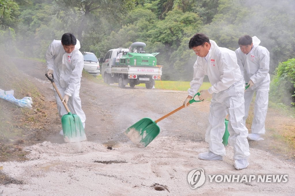 울산 돼지열병 예방 방역