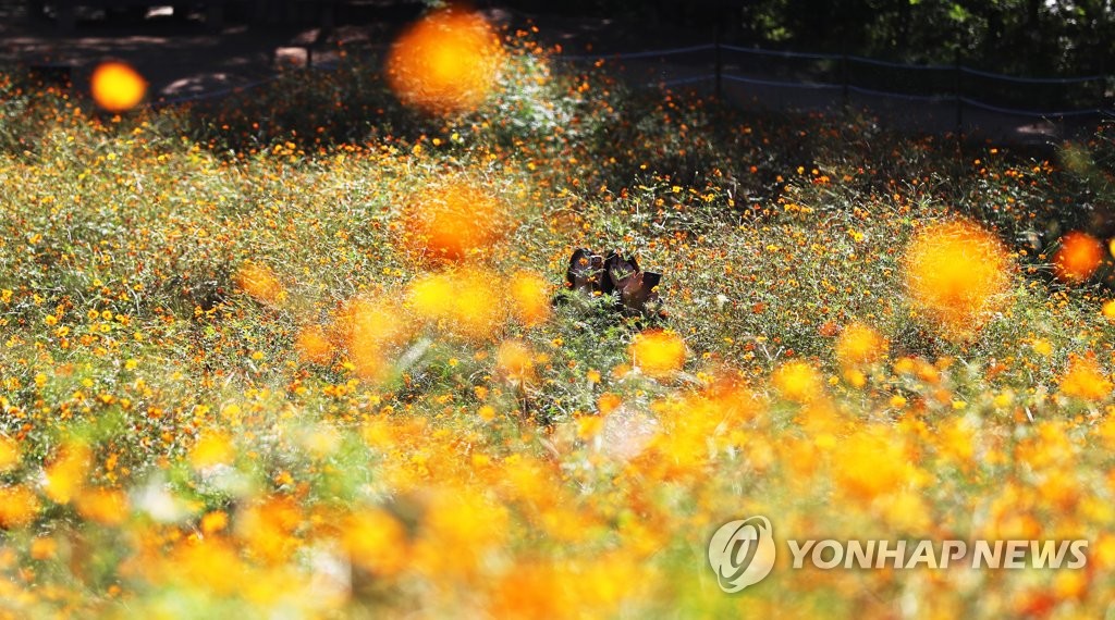 가을을 담다