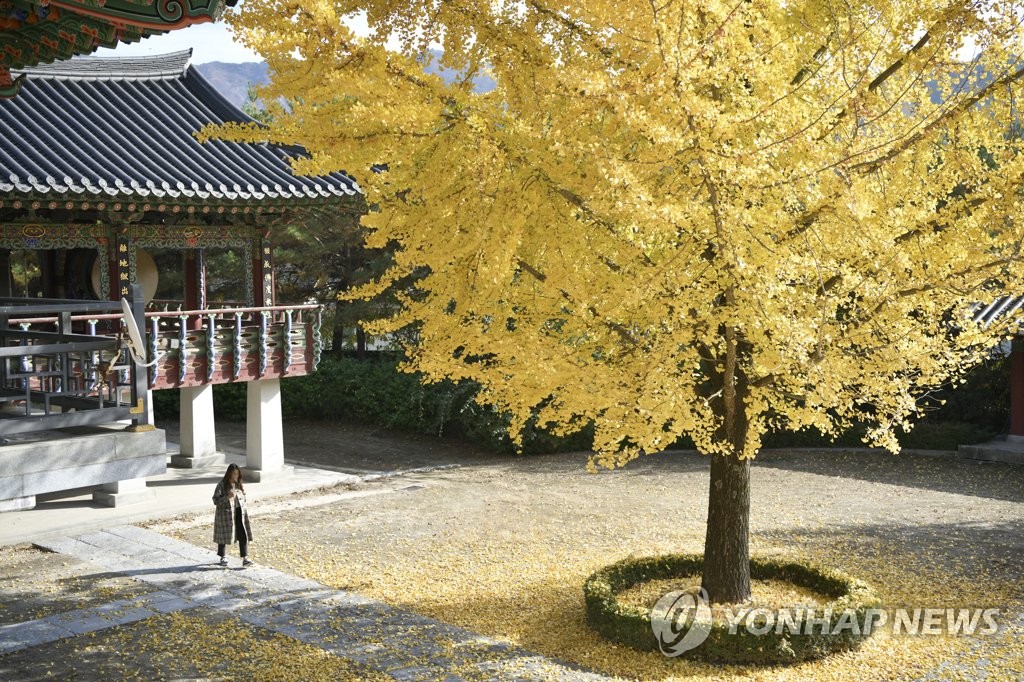 장수 죽림정사 가을정취