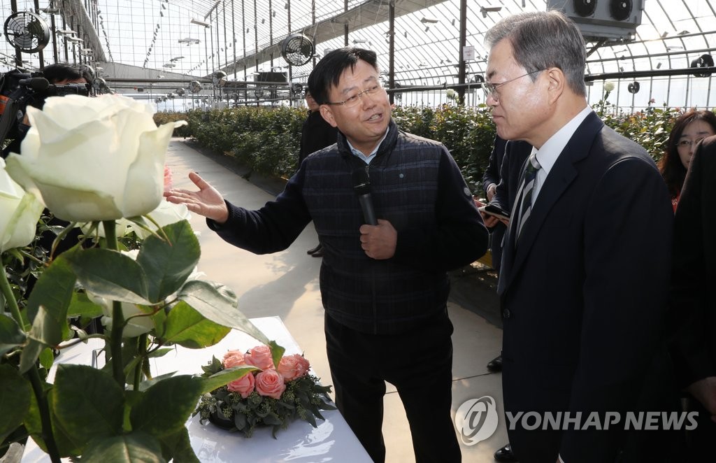 장미 쿨링하우스 설명 듣는 문 대통령