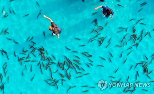 송어와 한판 대결