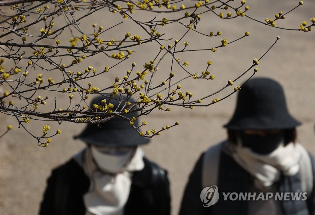 꽃샘추위