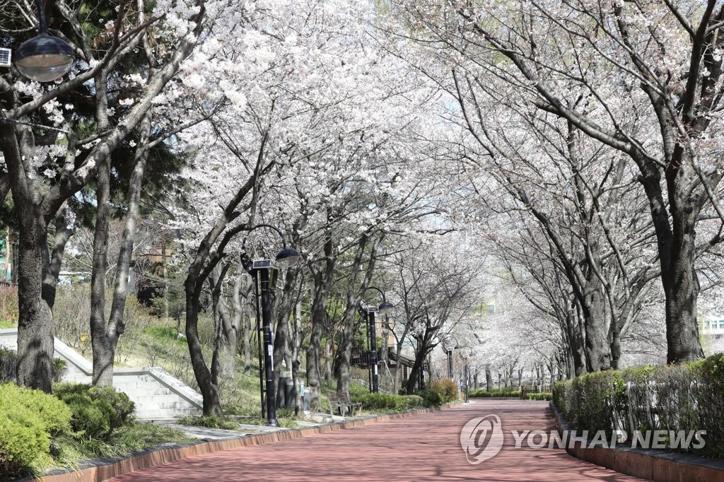 신종코로나바이러스 감염증(코로나19) 확산 예방을 위해 일시 폐쇄된 서울 송파구 석촌호수