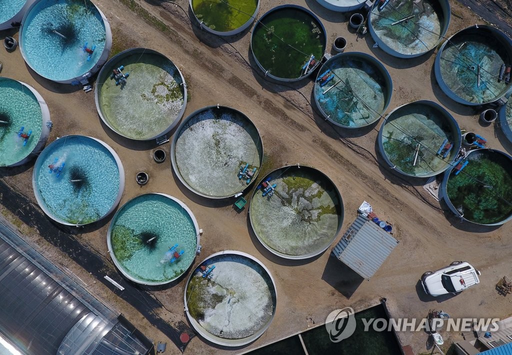 산천어 폐기 처분 뒤 텅빈 수조