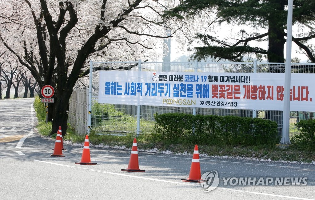 ′한산한 벚꽃길′…코로나19 여파로 출입 금지