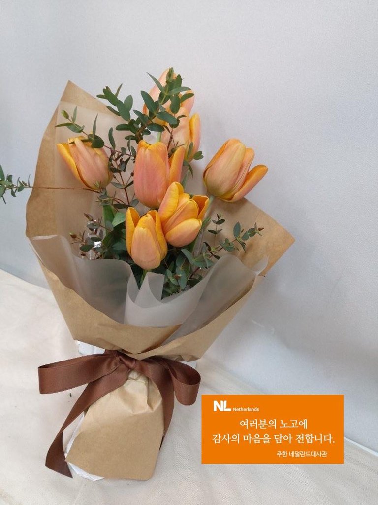 Tulips for medical workers Tulips for medical workers