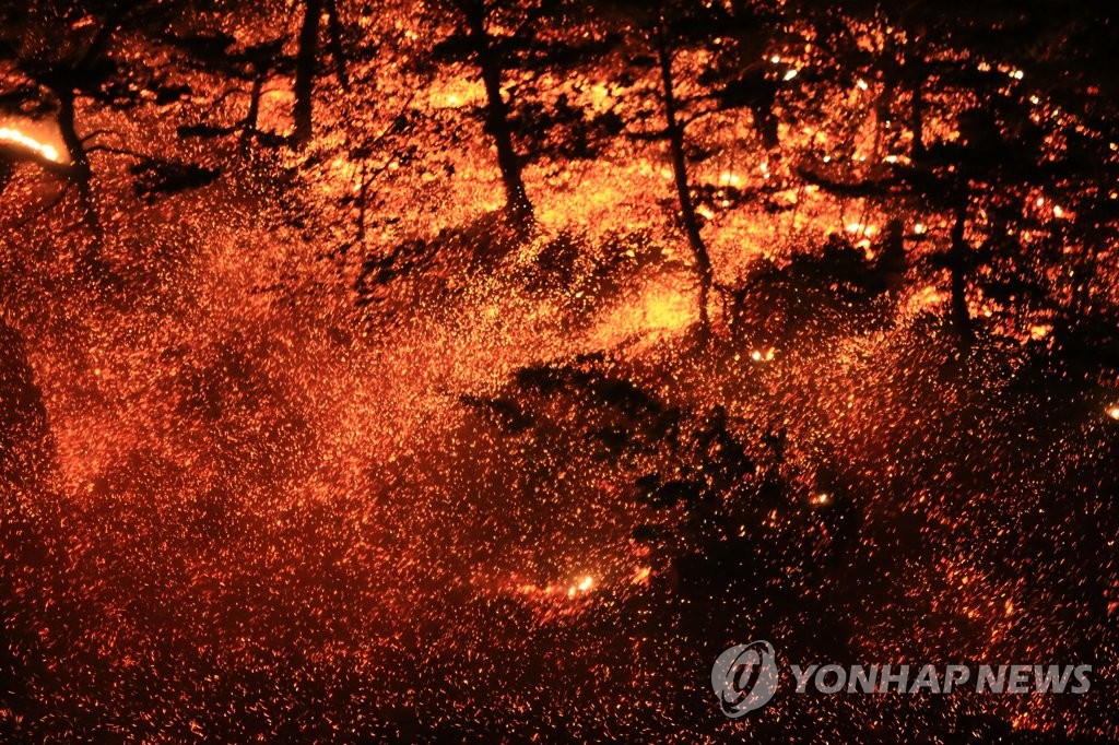 강풍 타고 번지는 산불