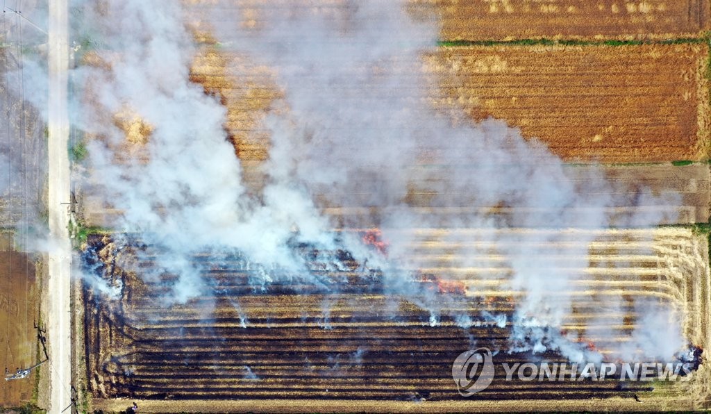 연기 피어오르는 보리밭