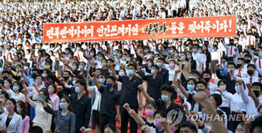북한 청년들, 대북전단 규탄 군중집회