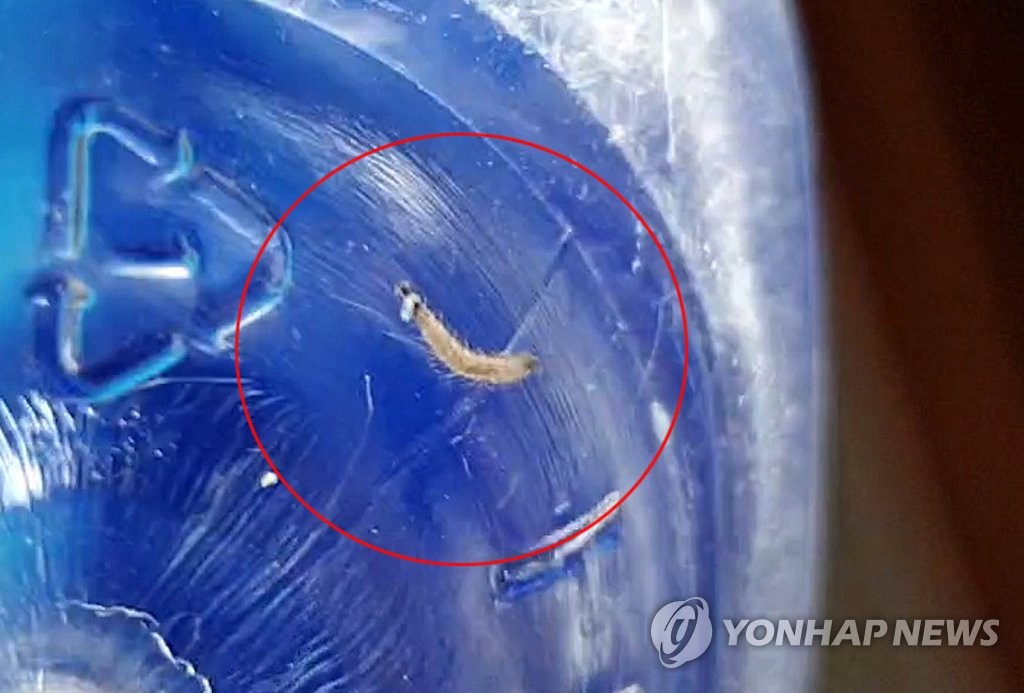 인천 수돗물 유충 확산…서구 이어 강화·계양·부평서도 신고