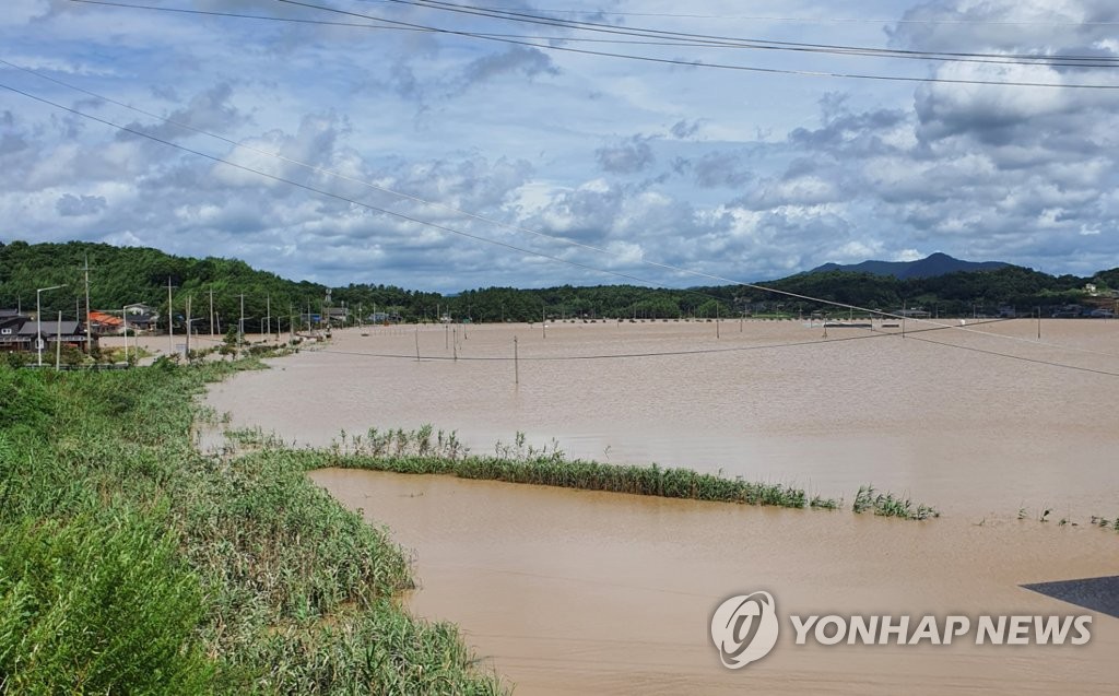 벼는 보이지 않고