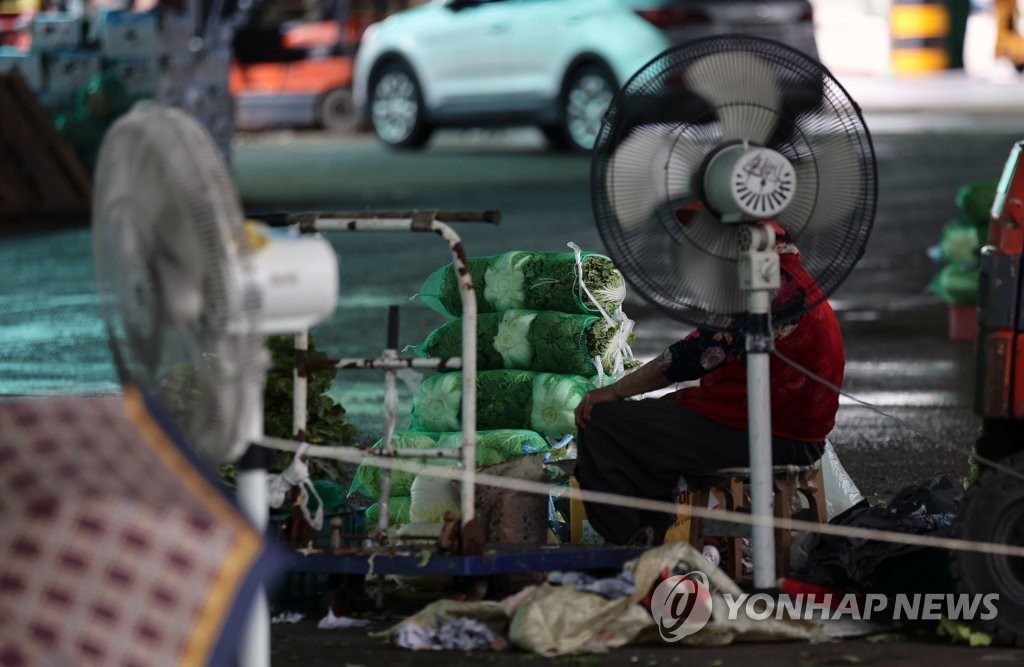 긴 장마에 가격 상승하는 채솟값