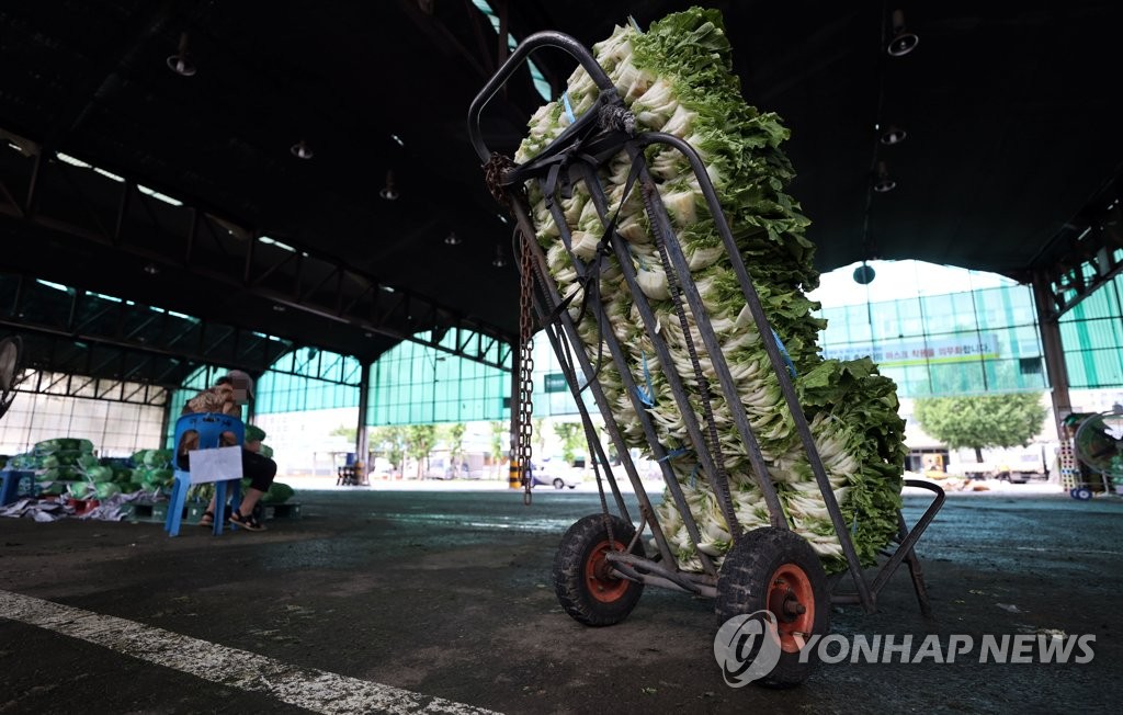 긴 장마에 채소 가격 '들썩'