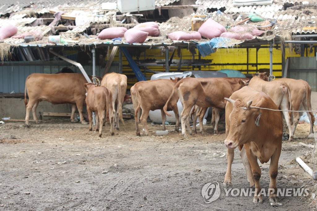 "주인은 언제 오려나"