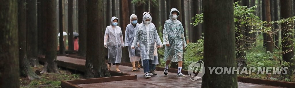 가을비와 함께 사려니숲길 산책