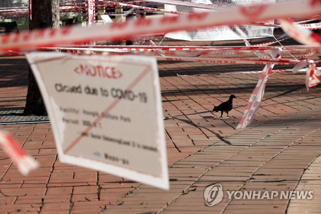 비둘기만 있는 공원