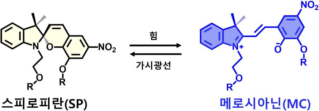 KIST 김재우 박사 "플라스틱 소재도 힘·충격 받으면 멍들게 하는 기술 개발"