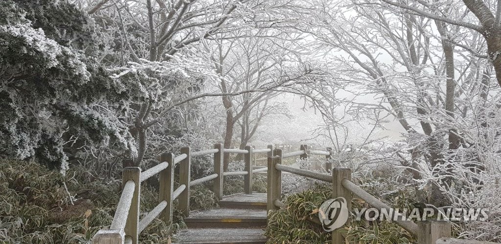 First snow at Hallasan National Park on Jeju First snow at Hallasan National Park on Jeju