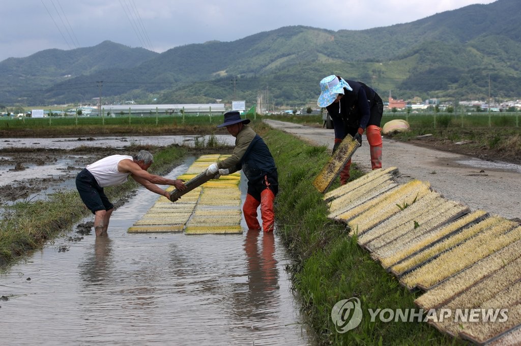 절기 소만, 바빠진 농촌