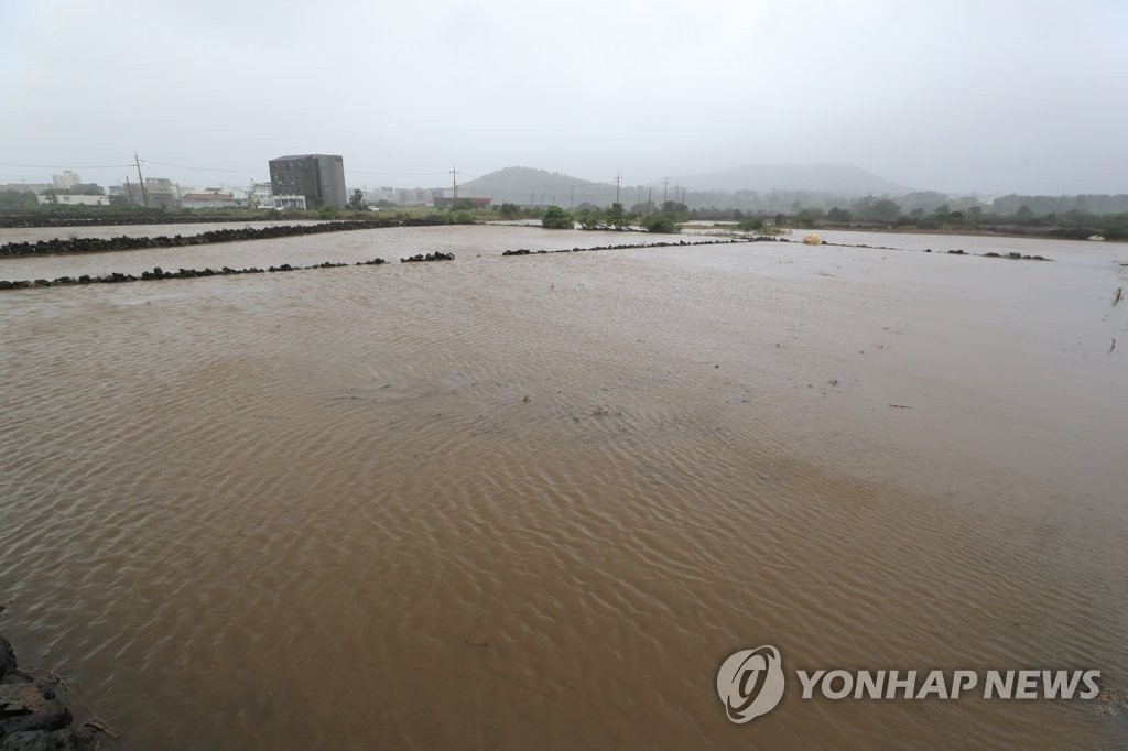 태풍 '찬투'로 빗물에 잠긴 밭