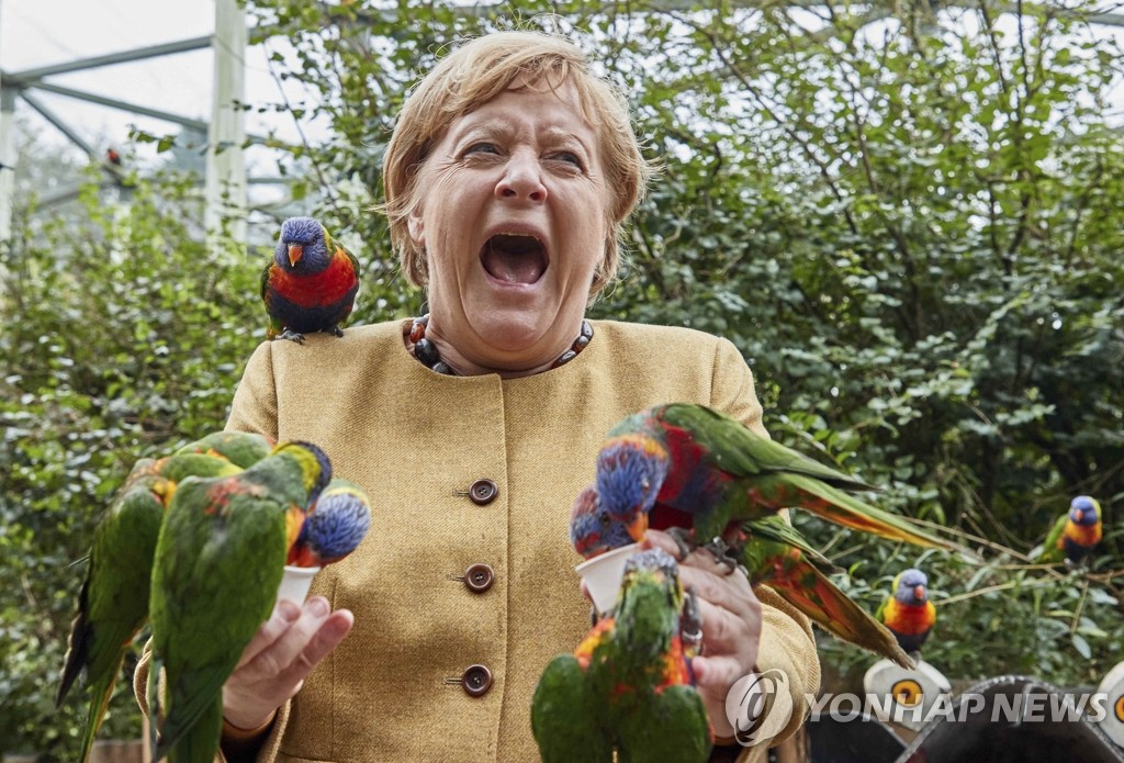 퇴임 앞두고 앵무새들 먹이 주는 메르켈 독일 총리