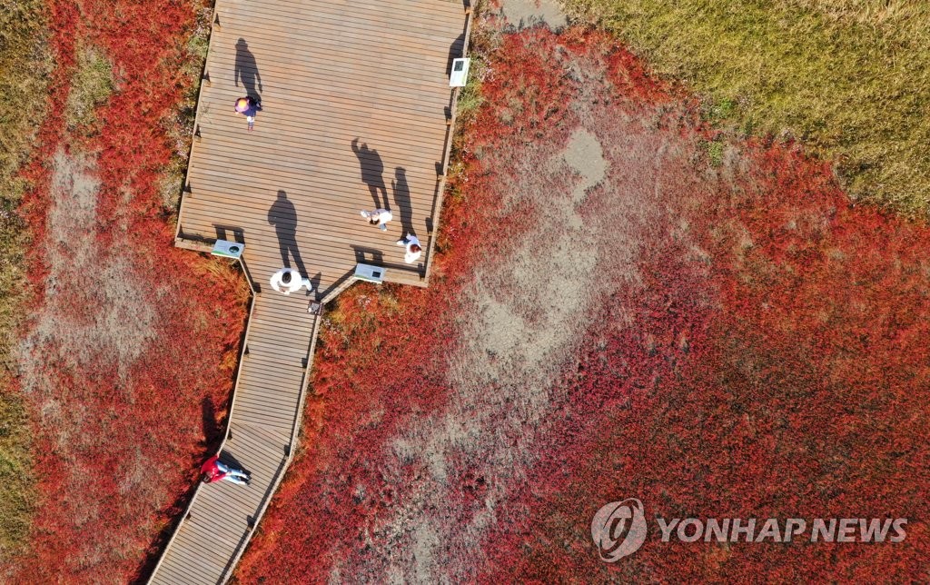 가을 갯벌 산책