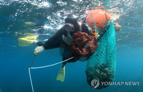 소라 채취하는 해녀