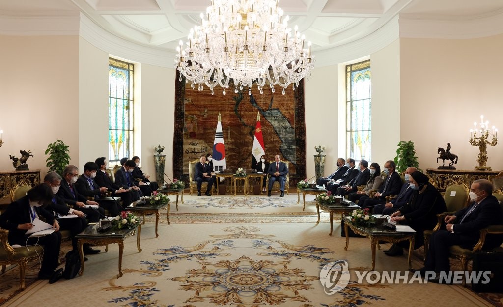 확대정상회담하는 문재인 대통령과 압델 파타 엘시시 이집트 대통령