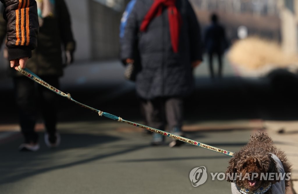 반려견 목줄 2m 이내로 유지해야…보호자 의무 강화